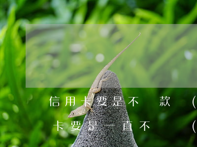 信用卡要是不還款會(huì)怎么樣(信用卡要是一直不還會(huì)怎么樣)