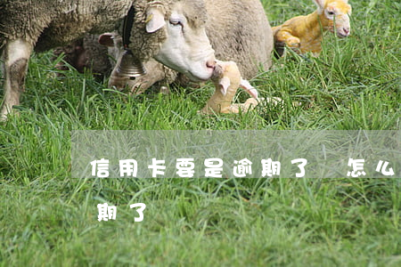 信用卡要是逾期了會怎么樣(沒注意信用卡逾期了) 信用卡要是逾期了會怎么樣(沒注意信用卡逾期了)