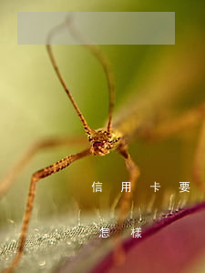 信用卡要逾期三個(gè)月會(huì)怎樣