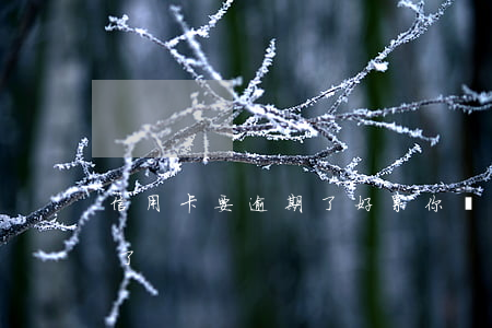 信用卡要逾期了好累(你們的信用卡逾期多久了)
