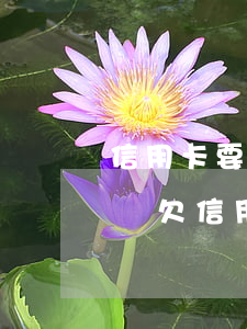 信用卡要逾期了怎么協(xié)商免息掛賬(欠信用卡可以申請(qǐng)停息掛賬嗎)