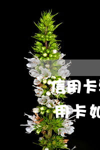 信用卡要逾期了怎么跟银行协商-欠银行信用卡如何协商