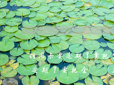 信用卡要逾期了要把全額還上嗎-信用卡要逾期了要把全額還上嗎怎么辦