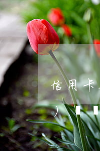 信用卡要逾期了還是選擇以貸養(yǎng)貸(貸款逾期還可以申請信用卡嗎)