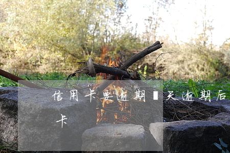 信用卡要逾期幾天(逾期后多久才能申請信用卡)