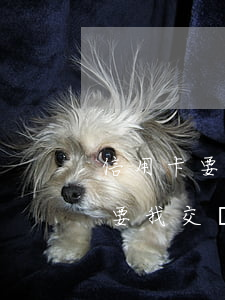 信用卡要錢不還怎么辦(為什么信用卡不用還要我交錢)