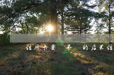 信用卡要錢不還的后果(信用卡的錢不還會怎樣)