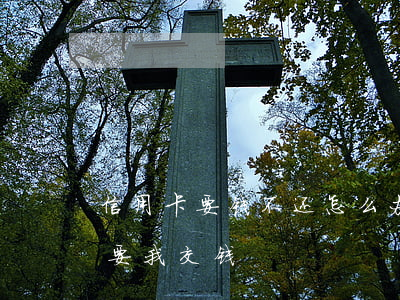 信用卡要钱不还怎么办(为什么信用卡不用还要我交钱)