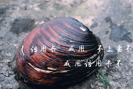 信用卡親戚用還不上要不回來(lái)咋辦-親戚用信用卡不還能不能起訴