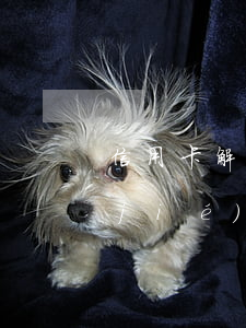 信用卡解凍需要什么條件-信用卡被凍結(jié)了怎么恢復(fù)使用