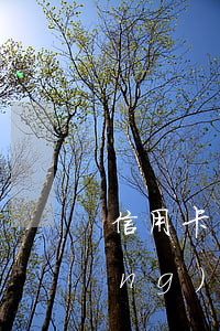 信用卡計(jì)算逾期利息最長(zhǎng)時(shí)間-多久算信用卡逾期