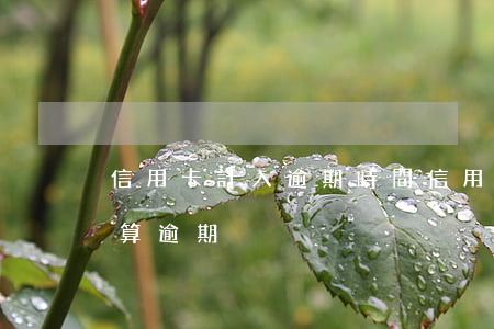 信用卡計入逾期時間(信用社信用卡超過幾天算逾期)