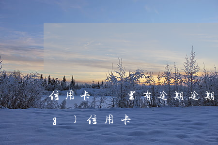 信用卡記錄里有逾期(逾期記錄申請(qǐng)信用卡)