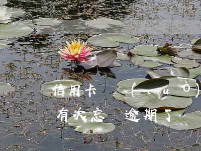 信用卡記錯(cuò)還款日期逾期(信用卡有次忘還逾期了)