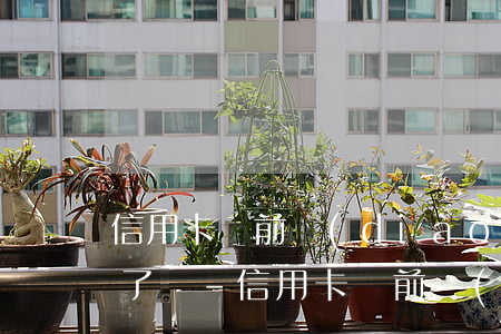 信用卡訴前調(diào)解是真的要起訴了嗎-信用卡訴前調(diào)解是真的要起訴了嗎知乎