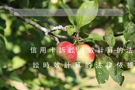 信用卡訴訟時效計算的法律依據-信用卡訴訟時效計算的法律依據有哪些