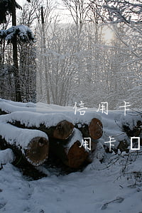 信用卡詐騙中惡意透支(信用卡惡意透支和信用卡詐騙區(qū)別)
