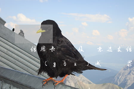 信用卡詐騙及惡意透支(信用卡惡意透支多少構(gòu)成詐騙罪)