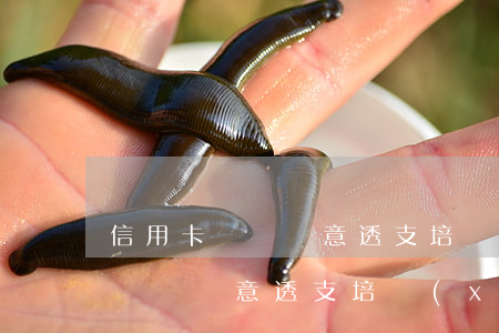 信用卡詐騙惡意透支培訓(xùn)(信用卡詐騙惡意透支培訓(xùn))