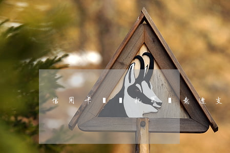 信用卡詐騙犯罪惡意透支