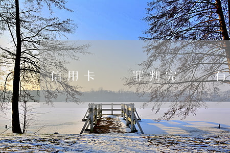 信用卡詐騙罪判完還沒有錢還怎么辦