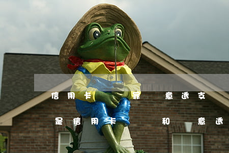 信用卡詐騙罪惡意透支認(rèn)定(什么是信用卡詐騙和惡意透支)