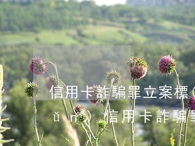 信用卡詐騙罪立案標(biāo)準(zhǔn)(信用卡詐騙罪立案標(biāo)準(zhǔn)2021)