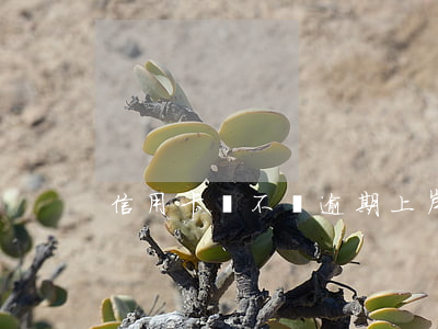 信用卡該不該逾期上岸