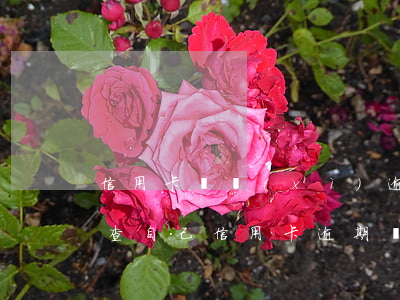 信用卡詳細(xì)逾期記錄怎么查詢(怎么查自己信用卡逾期記錄)
