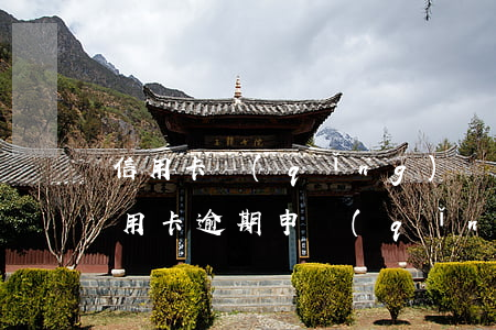 信用卡請(qǐng)書怎么寫-怎樣寫信用卡逾期申請(qǐng)書