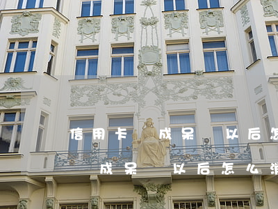 信用卡變成呆賬以后怎么消除逾期-信用卡變成呆賬以后怎么消除逾期記錄
