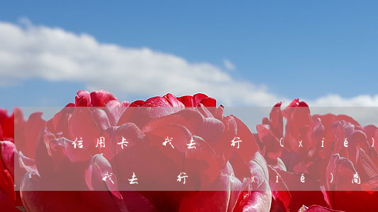 信用卡讓我去銀行協(xié)商-信用卡讓我去銀行協(xié)商還款