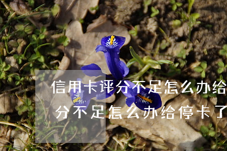 信用卡评分不足怎么办给停卡了-信用卡评分不足怎么办给停卡了有影响吗