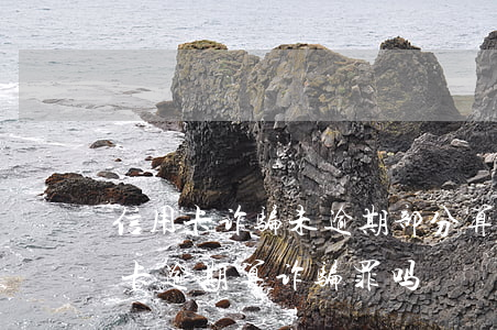 信用卡诈骗未逾期部分算吗(因服刑导致信用卡逾期算诈骗罪吗)