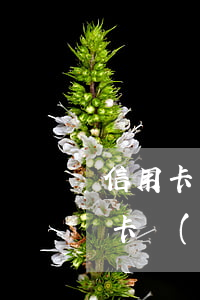信用卡負(fù)債20萬一直在逾期(信用卡負(fù)債20萬一直在逾期)