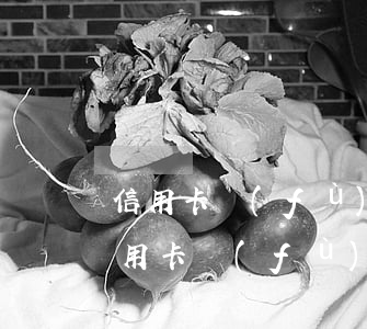 信用卡負(fù)債20萬怎么上岸快-信用卡負(fù)債20萬怎么上岸快一點(diǎn)