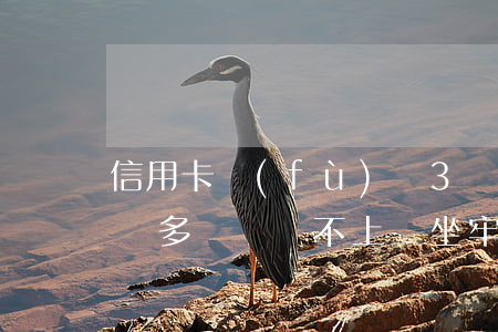 信用卡負(fù)債3萬還不起(欠信用卡三萬多暫時還不上會坐牢嗎?)