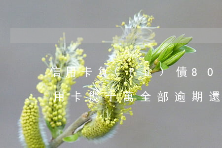 信用卡負(fù)債80萬逾期怎么辦(欠信用卡幾十萬全部逾期還不了怎么辦)