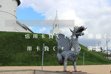 信用卡負(fù)債協(xié)商還款(信用卡負(fù)債協(xié)商還款)