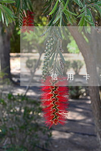 信用卡負(fù)債沒有逾期可以車貸嗎