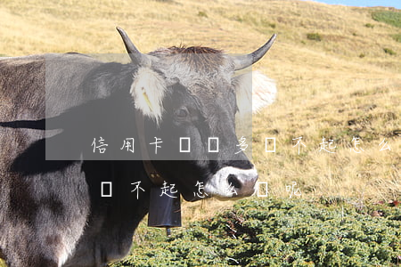 信用卡負債多還不起怎么辦-信用卡負債多還不起怎么辦呢