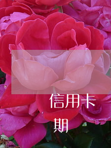 信用卡負債過高無逾期 信用卡負債過高無逾期