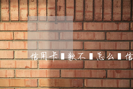 信用卡貨款不還怎么辦(信用卡還不了款)