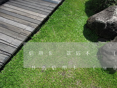 信用卡貨款后不還錢(qián)怎么辦(為什么信用卡無(wú)法還款)