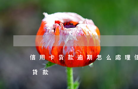 信用卡貨款逾期怎么處理(信用卡有逾期怎么貸款)