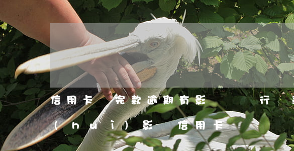 信用卡貸完款逾期有影響嗎(銀行貸款逾期會(huì)影響信用卡嗎)