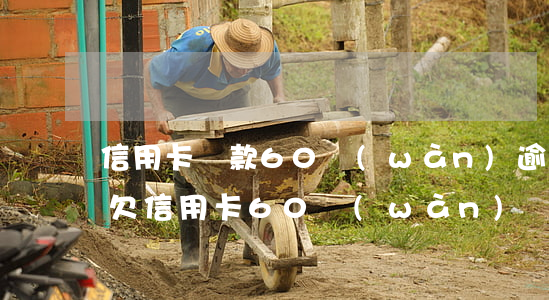 信用卡貸款60萬(wàn)逾期了怎么辦(欠信用卡60萬(wàn))
