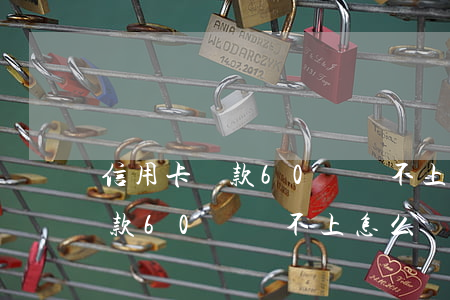 信用卡貸款60萬還不上怎么辦-信用卡貸款60萬還不上怎么辦呢