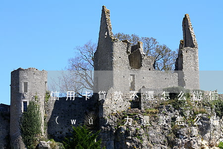 信用卡貸款不還怎么辦(信用卡和信用貸款無(wú)力還款怎么辦)