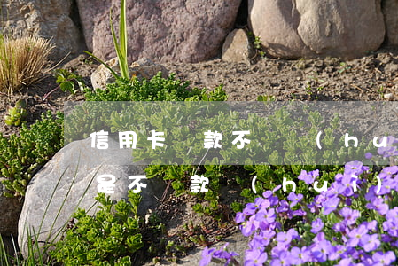 信用卡貸款不還會(huì)怎樣(信用卡要是不還款會(huì)怎么樣)